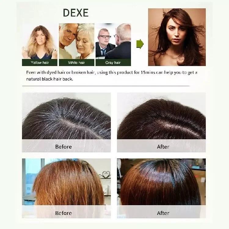 Dexe Argan Speedy Hair Colour Shampoo Instant Black Hair Dye 420ml/14.2 oz