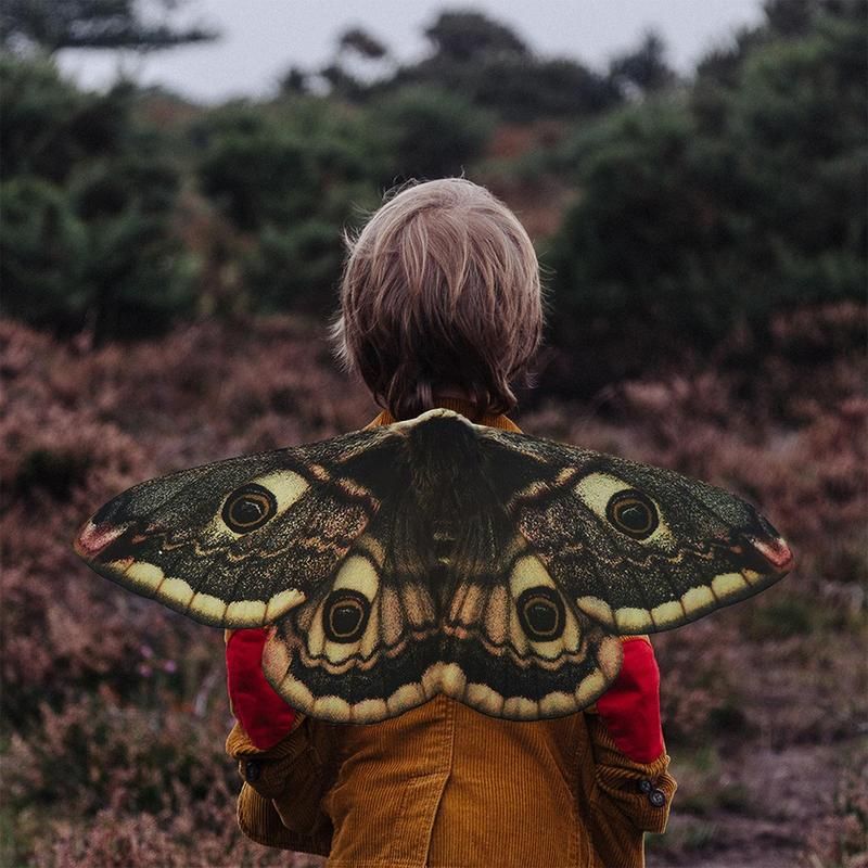 Halloween Moth Wings | Eye-Catching Design for Costumes | Kids Wings