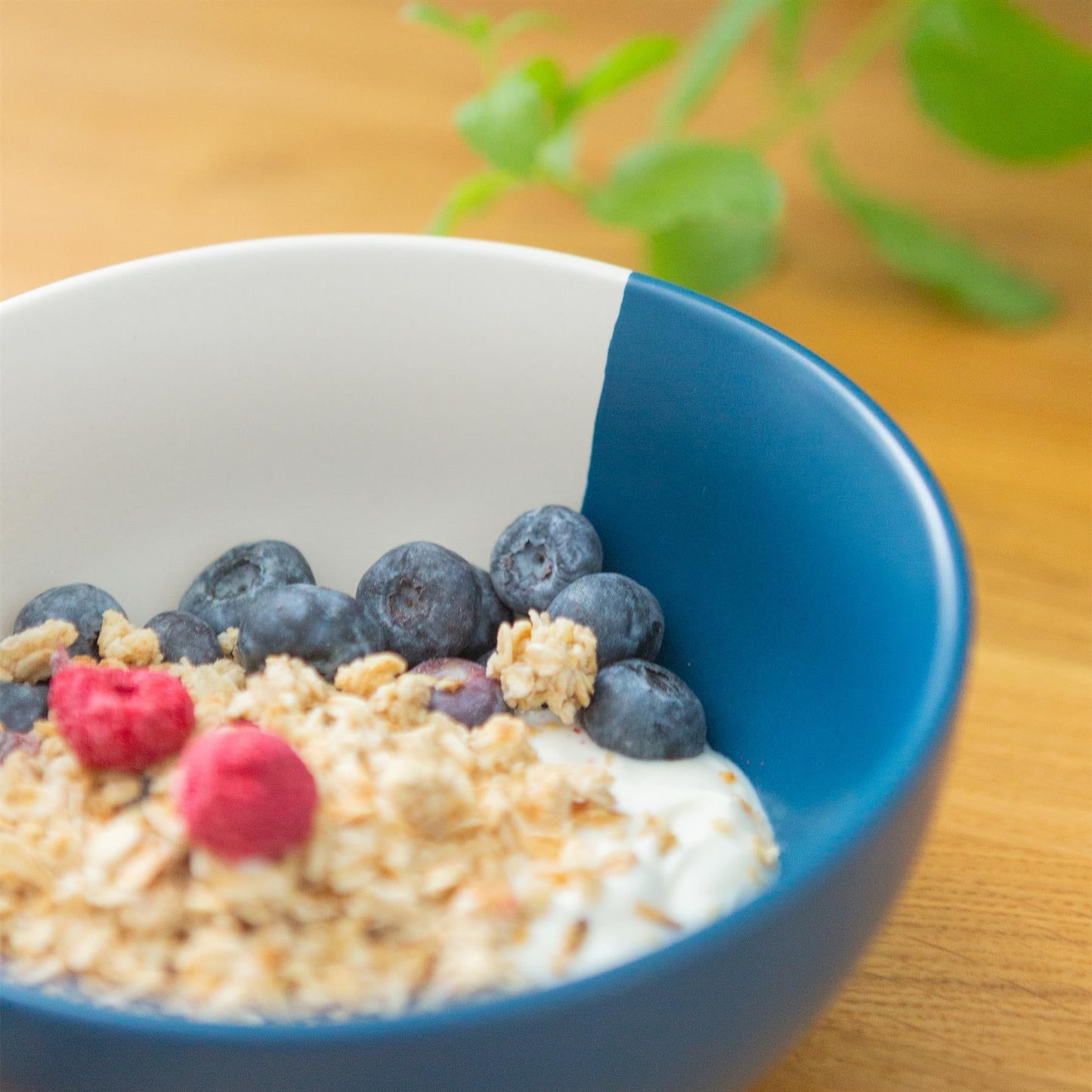 16.5cm Colour Block Stoneware Cereal Bowl