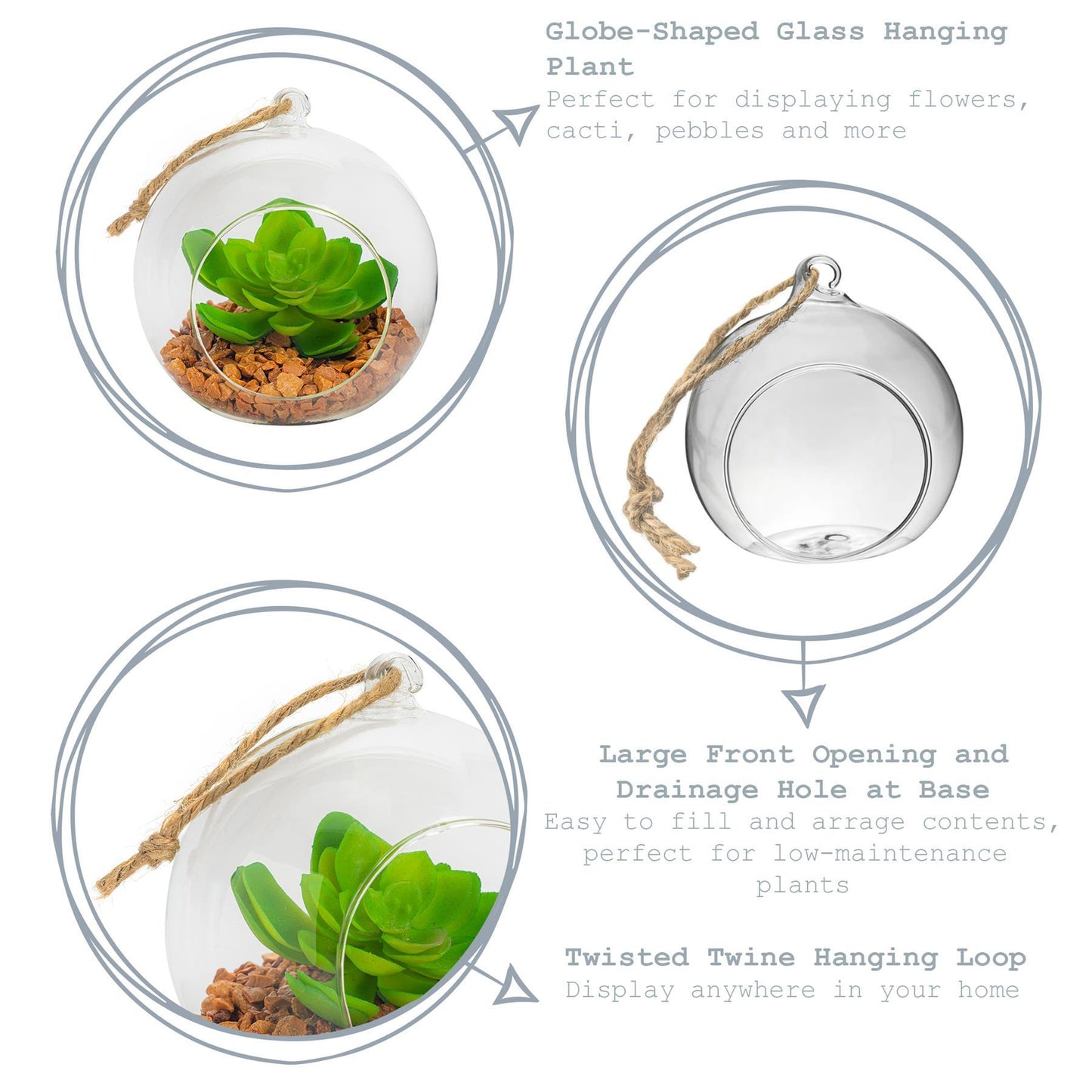 12cm Hanging Glass Succulent Terrarium