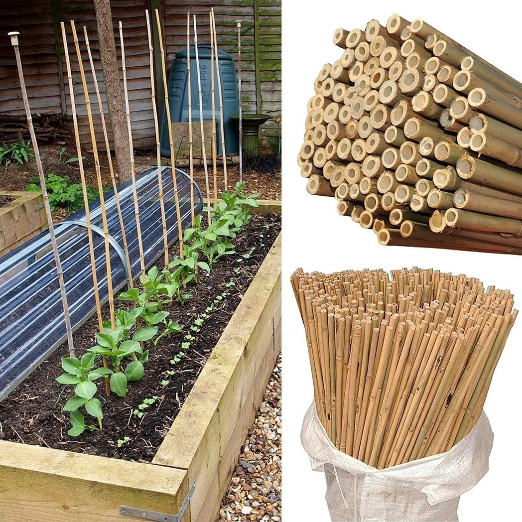 10 x 5FT Bamboo Canes 150 CM
