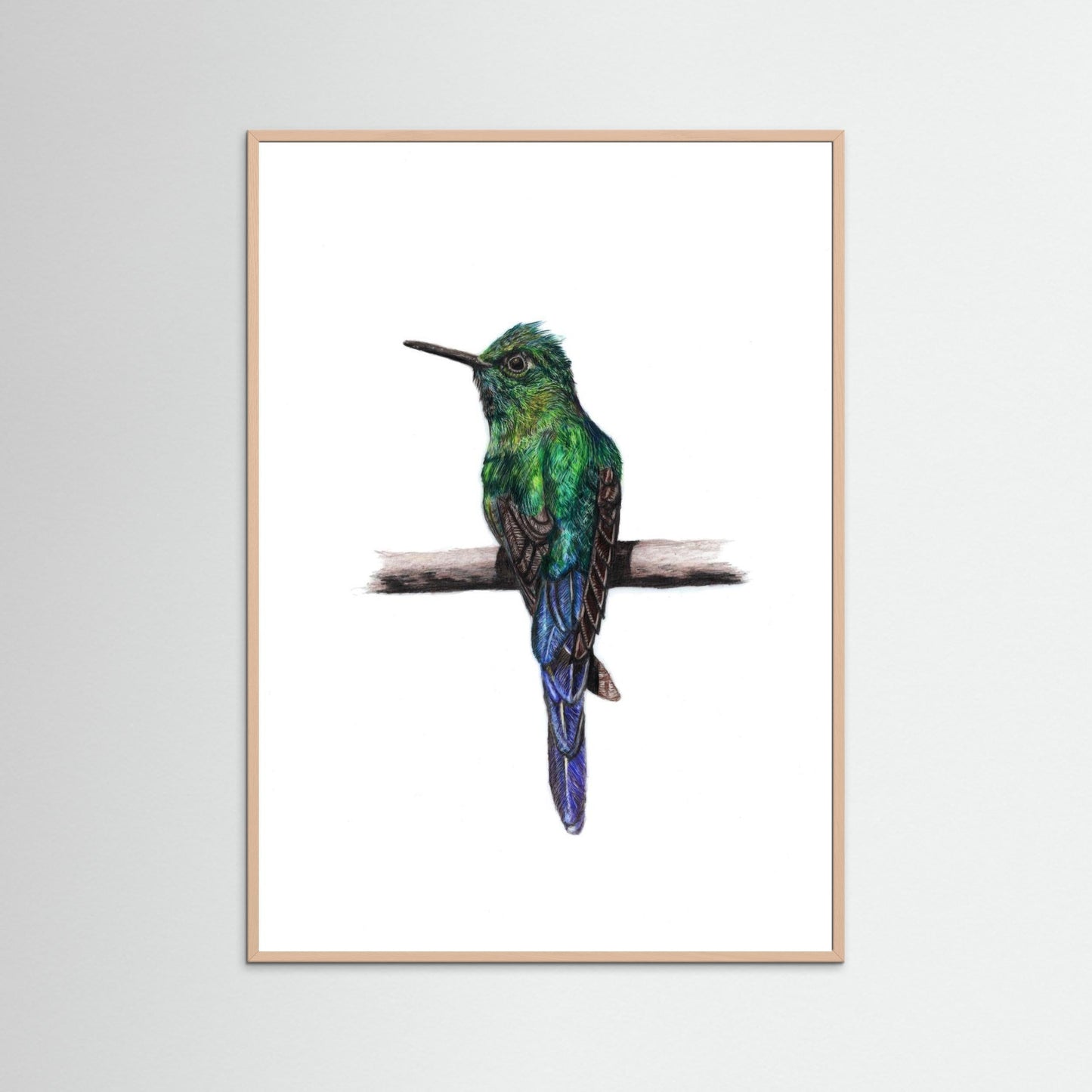 Hummingbird Wall Art Print – Fine Art Wildlife Illustration