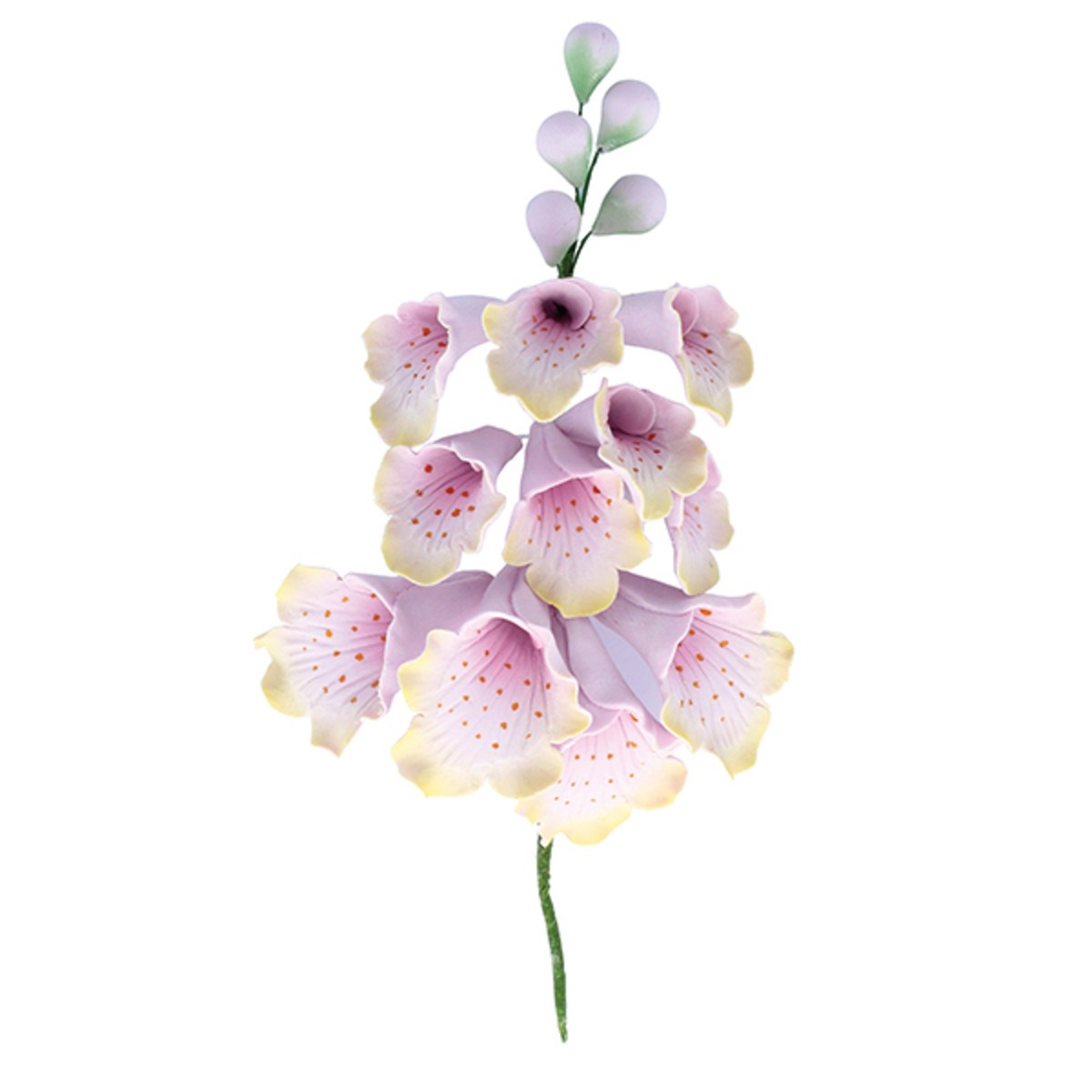 Foxglove Sugar Spray 125mm