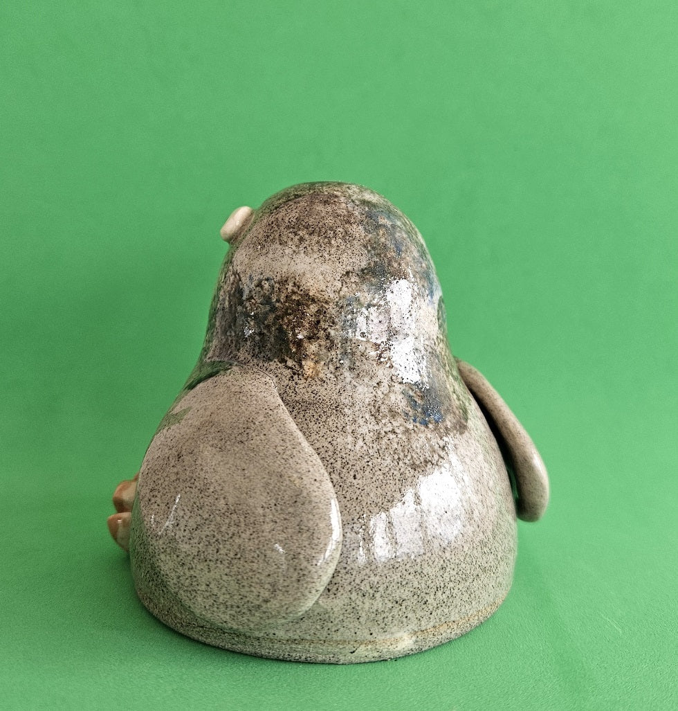 City Pigeon