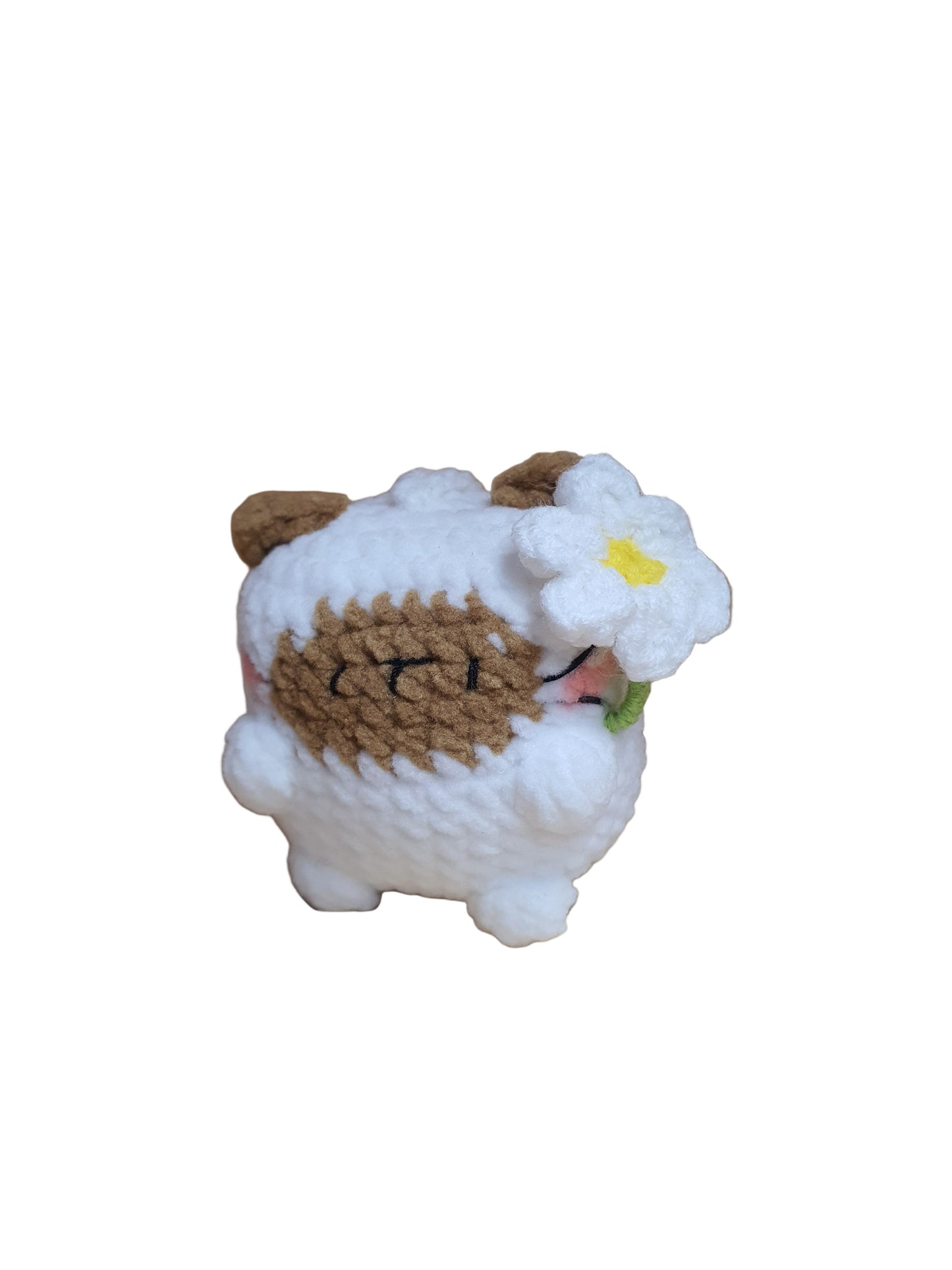 Little Square Cute Kitten Collection