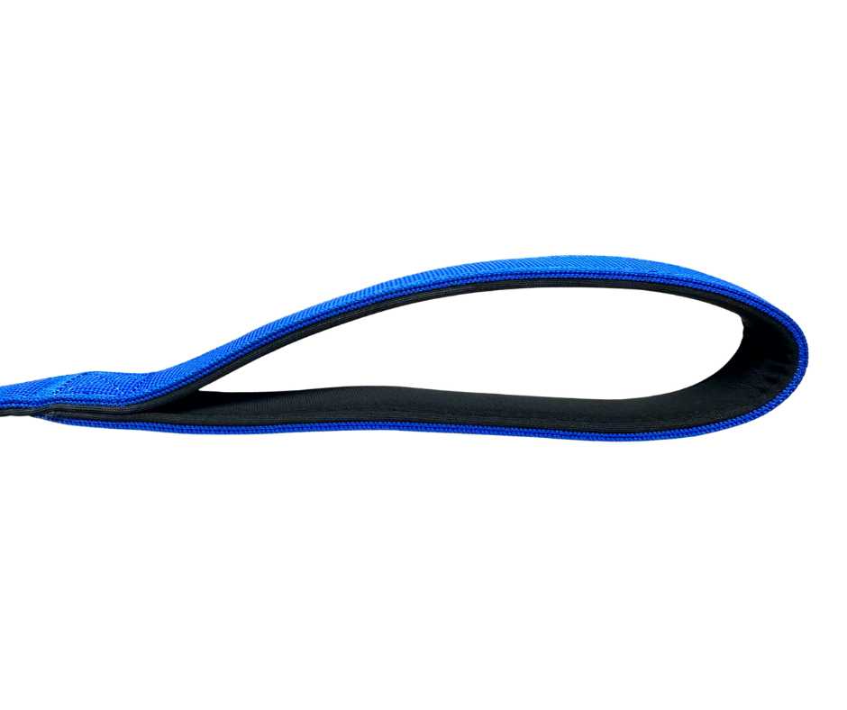 BTactical™ Nylon Frog Clip Dog Lead | Extra-Strong Anti Tangle - Royal Blue