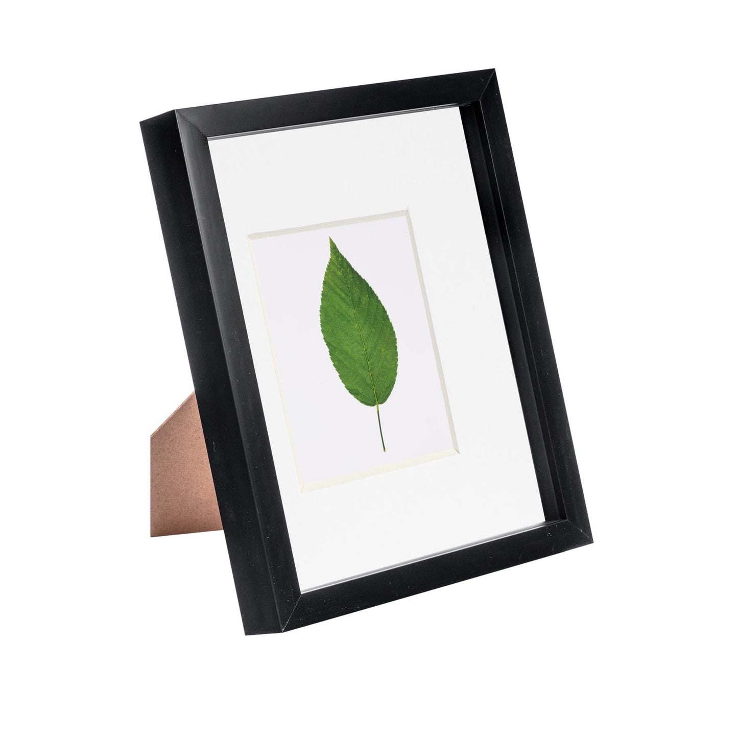 8" x 10" Black 3D Box Photo Frame - with 4" x 6" Mount