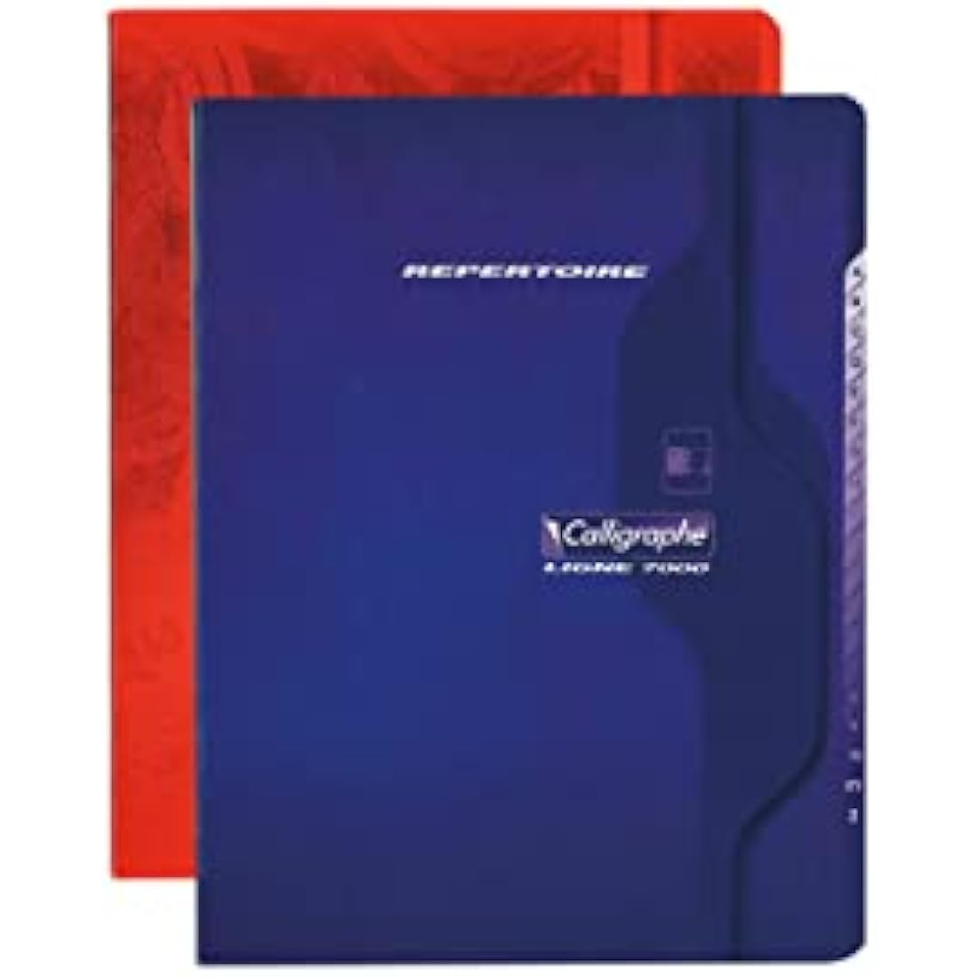Calligraphe 851C Lot de 10 Répertoires Agrafés (une Marque de Clairefontaine) - 17x22 cm - 96 Pages Petits Carreaux - Papier Blanc 70 g - Couverture Carte Recyclée Vernie - Couleurs Aléatoires