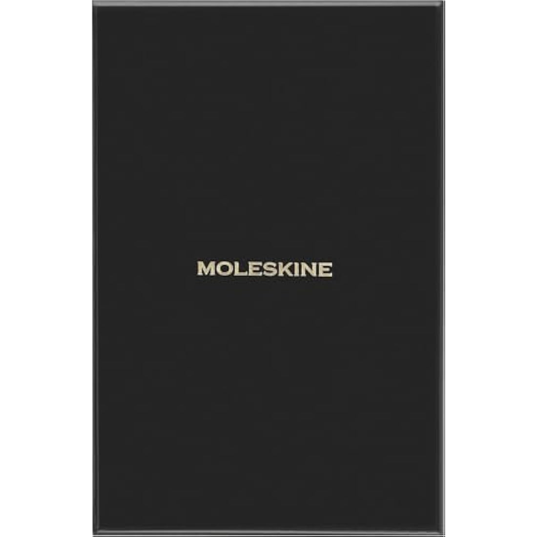 Moleskine Precious & Ethical Notebook, with Gift Box, Vegan Soft Cover, Elastic Closure, Large Format 13x21 cm, Colour Orange