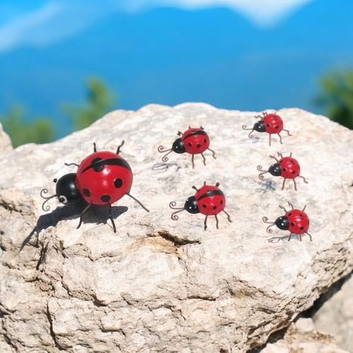 23/12/10CM SET 6 LADYBIRDS