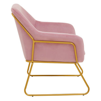 Xander Pink Velvet Accent Chair with Gold Finish Legs