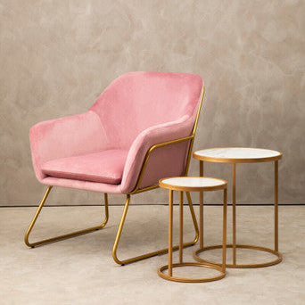 Xander Pink Velvet Accent Chair with Gold Finish Legs