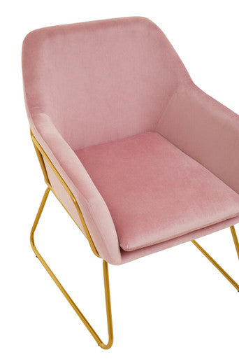 Xander Pink Velvet Accent Chair with Gold Finish Legs