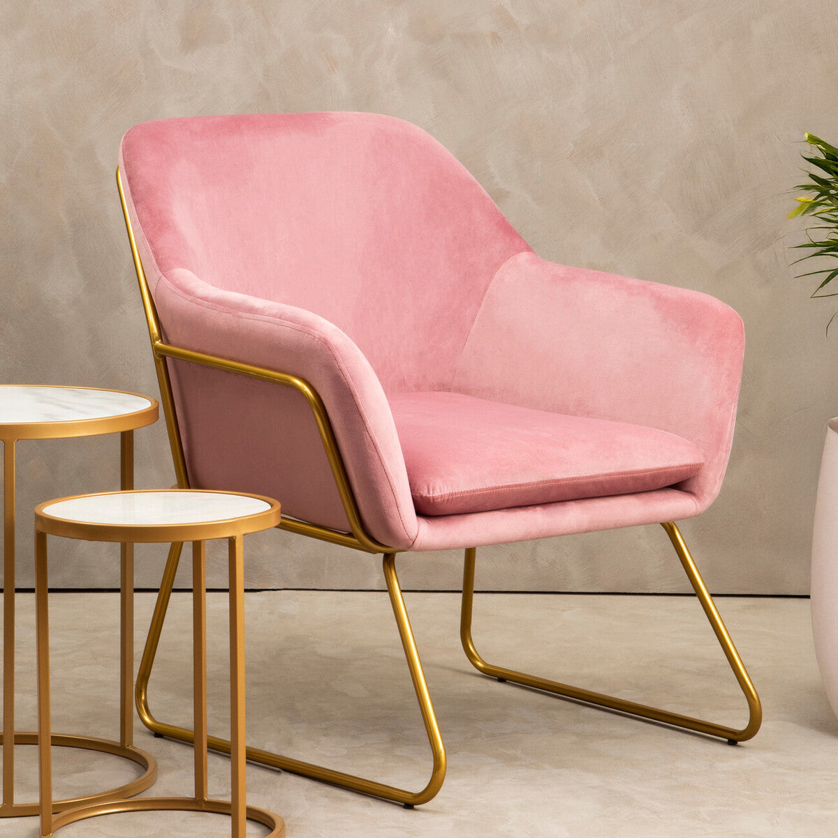 Xander Pink Velvet Accent Chair with Gold Finish Legs