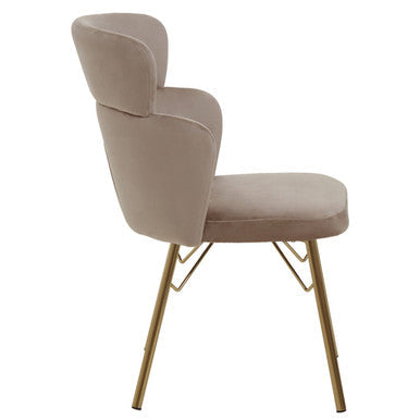 Veneto Mink Velvet Chair with Brushed Gold Finish Legs