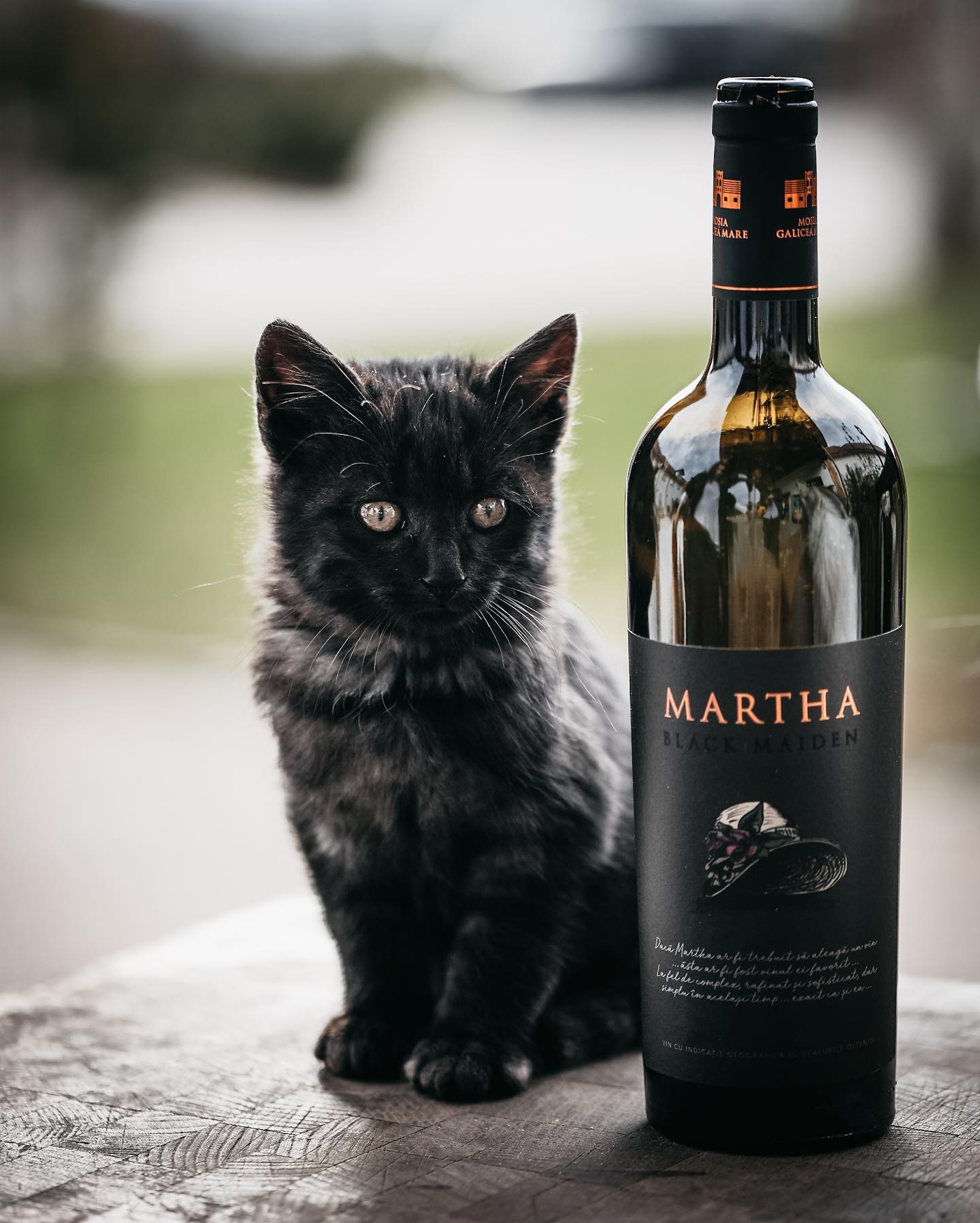 Martha Feteasca Neagra Red Wine