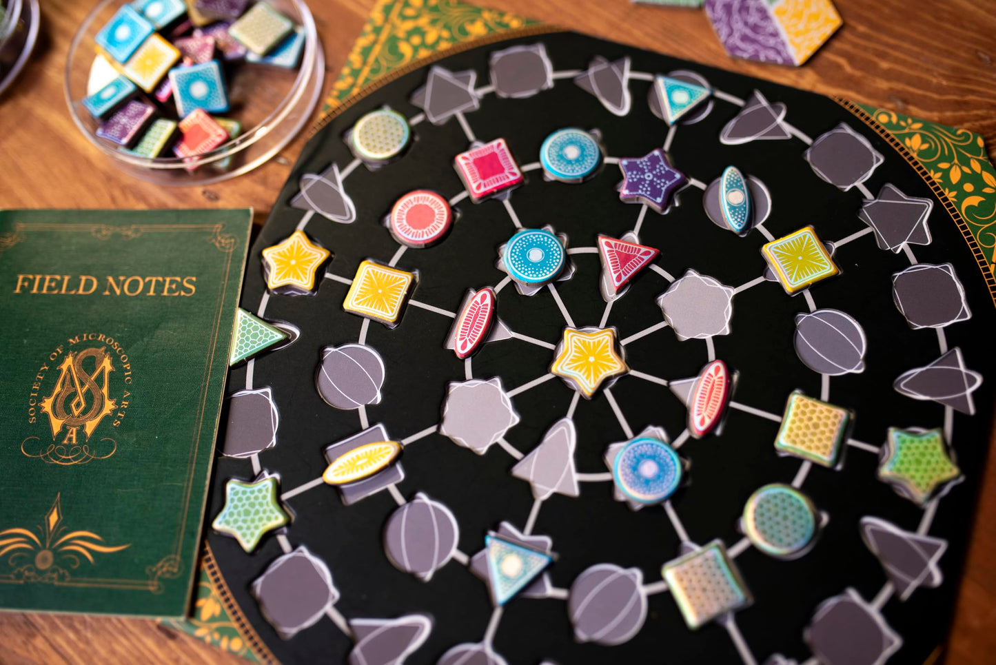 Diatoms Board Game by 25th Century Games – Artistic Tile-Placement Mosaic for 1–4 Players | Mensa Select