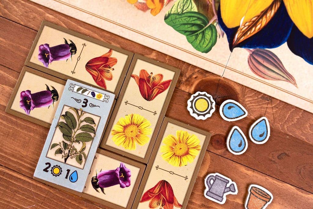 Gartenbau: Strategy Board Game Gardening in the 19th Century | Mensa Select | 25th Century Games