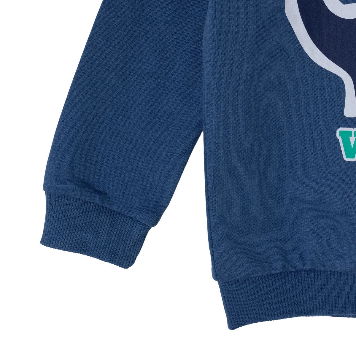HelloBaby Dinosaur Print Brushed Loopback Baby Sweatshirt (3-6 Months to 4-5 Years)