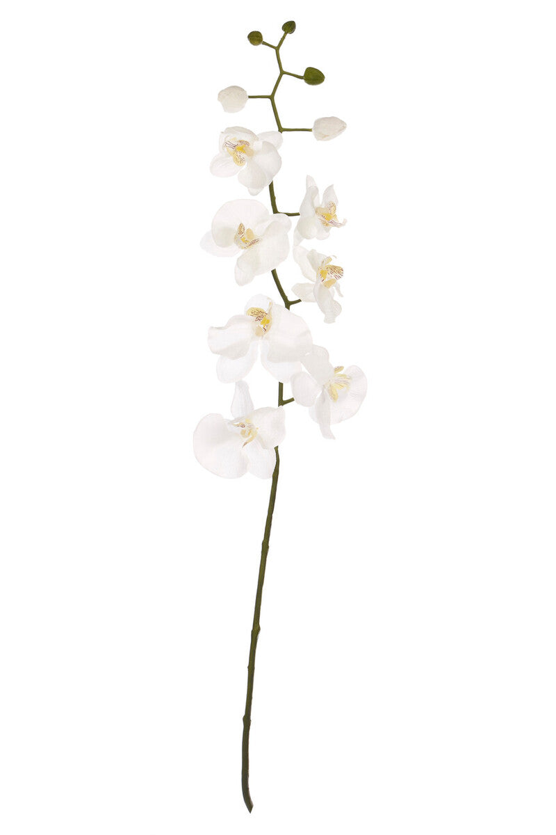 Fiori Artificial flowers Cream Orchid Stem