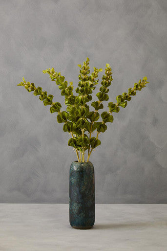 Fiori Tall Bells Of Ireland Flower Stem