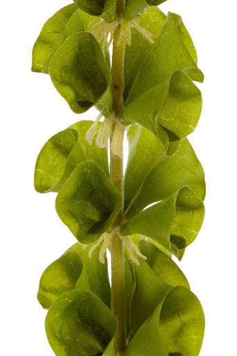 Fiori Tall Bells Of Ireland Flower Stem