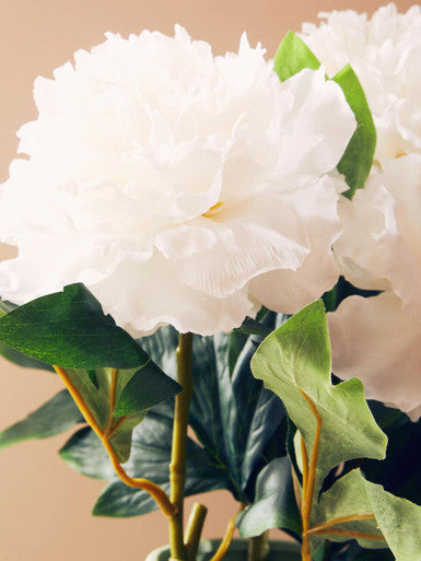Fiori White Peony Open Ruffled Bloom Stem