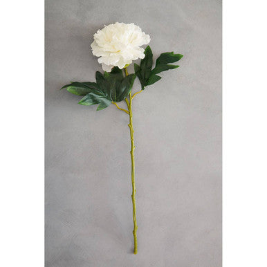 Fiori White Peony Open Ruffled Bloom Stem