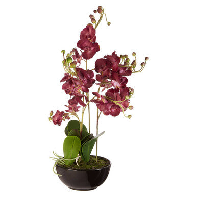 Fiori Purple Orchid Flowers in Black Pot