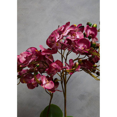 Fiori Purple Orchid Flowers in Black Pot