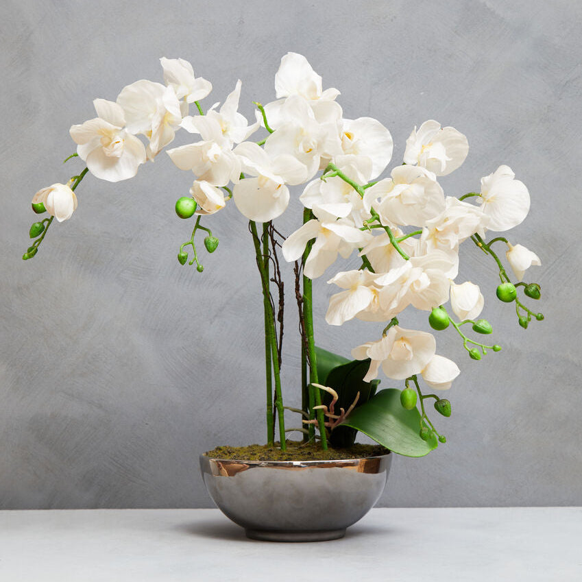Fiori White Orchid Flowers in Round Silver Pot