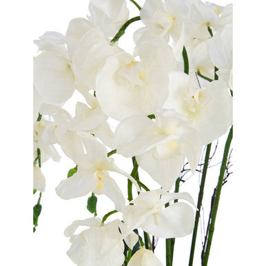 Fiori White Orchid Flowers in Round Silver Pot
