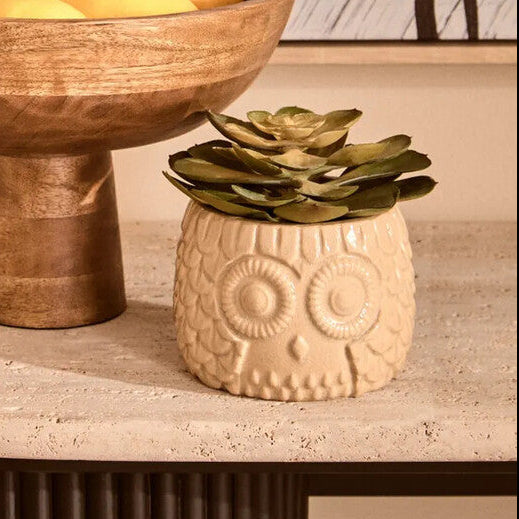 Large Succulent in Grey Ceramic Owl Pot | Fiori
