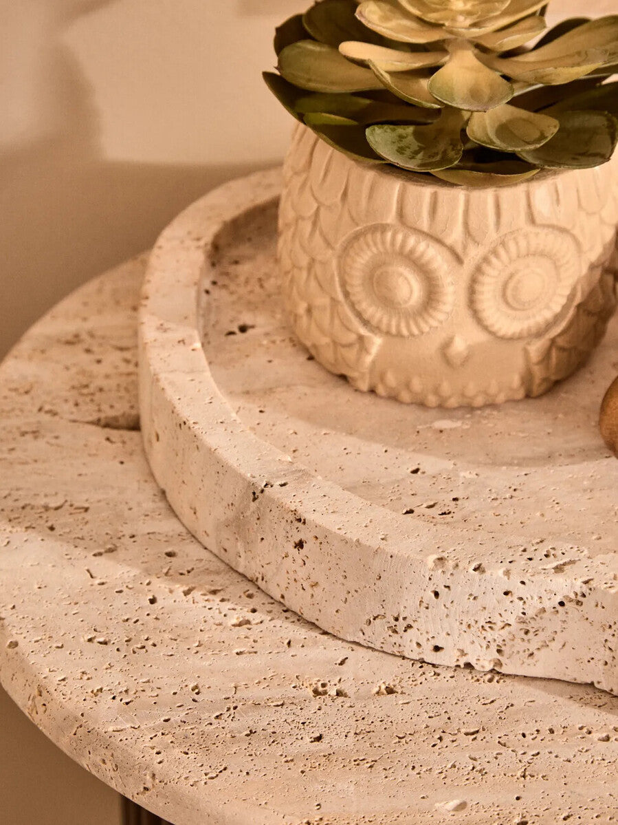 Large Succulent in Grey Ceramic Owl Pot | Fiori