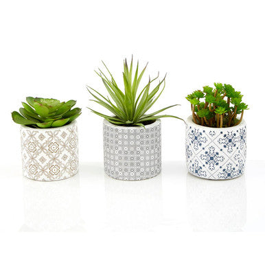 Fiori Set of 3 Succulents in Geometric Design Ceramic Pots