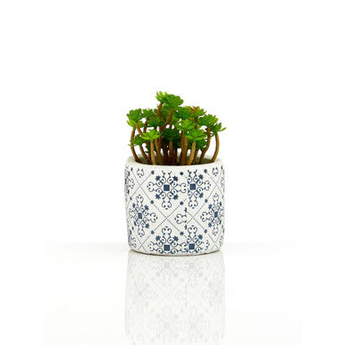 Fiori Set of 3 Succulents in Geometric Design Ceramic Pots