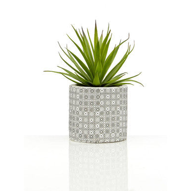 Fiori Set of 3 Succulents in Geometric Design Ceramic Pots