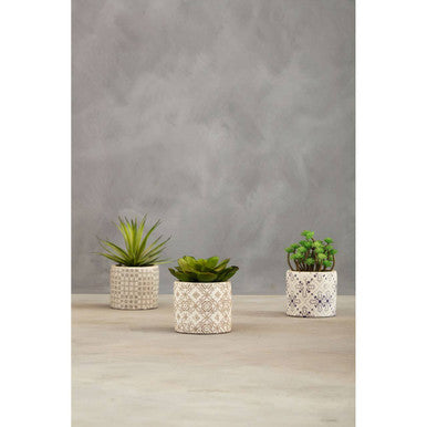 Fiori Set of 3 Succulents in Geometric Design Ceramic Pots