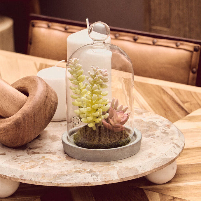 Small Succulent Dome with Cement Base | Fiori