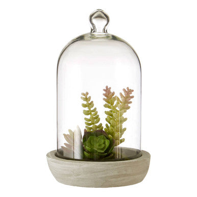 Fiori Large Succulent Dome Cement Base