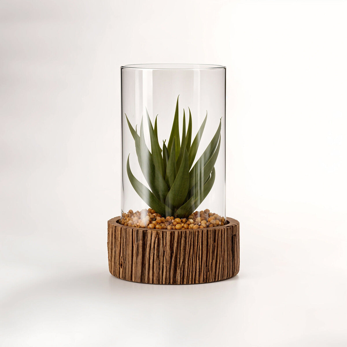 Small Succulent with Natural Stone Base | Fiori