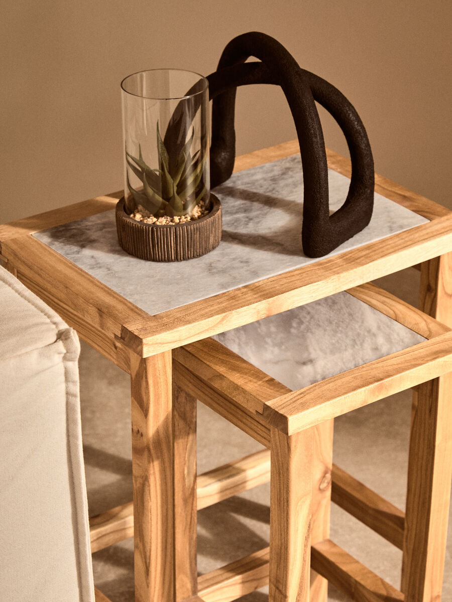 Small Succulent with Natural Stone Base | Fiori