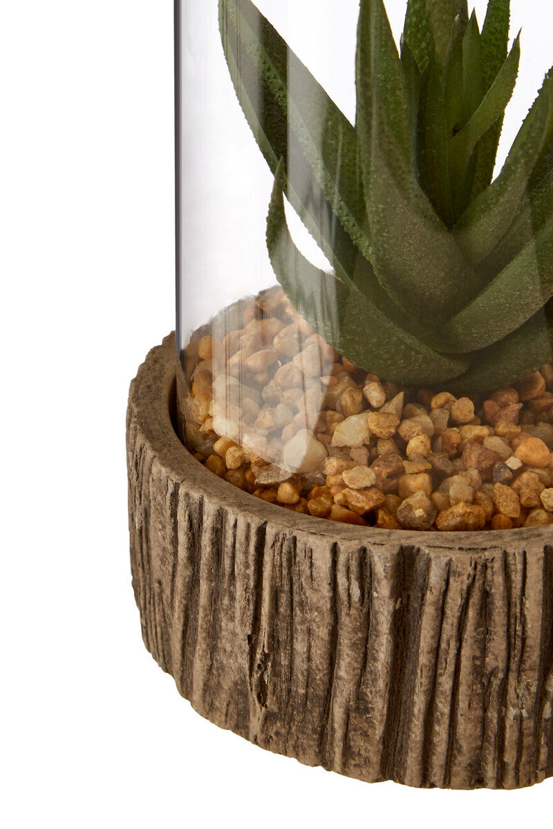 Small Succulent with Natural Stone Base | Fiori