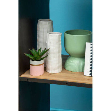 Fiori Set Of 3 Pink Pot Succulents