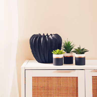Fiori Set Of 3 Black Pot Succulents