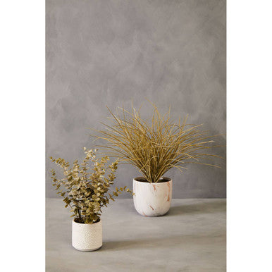 Fiori Eucalyptus with White Pot