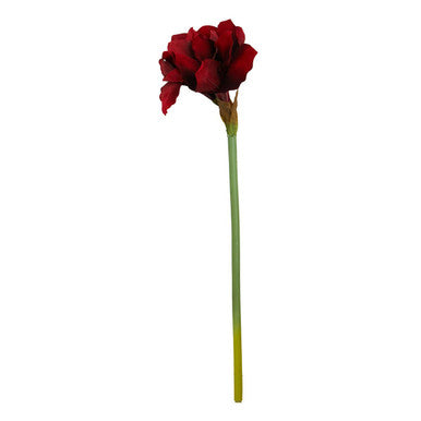 Fiori Burgundy Amarylilis Flower Stem