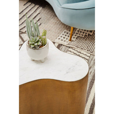 Fiori Mixed Succulents With White Ceramic Pot