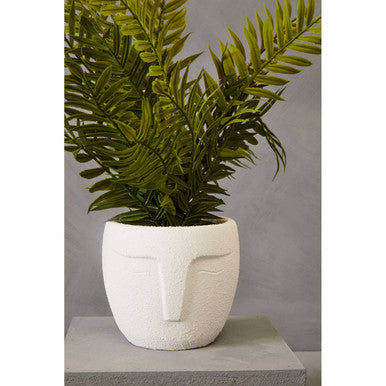 Fiori Fern
