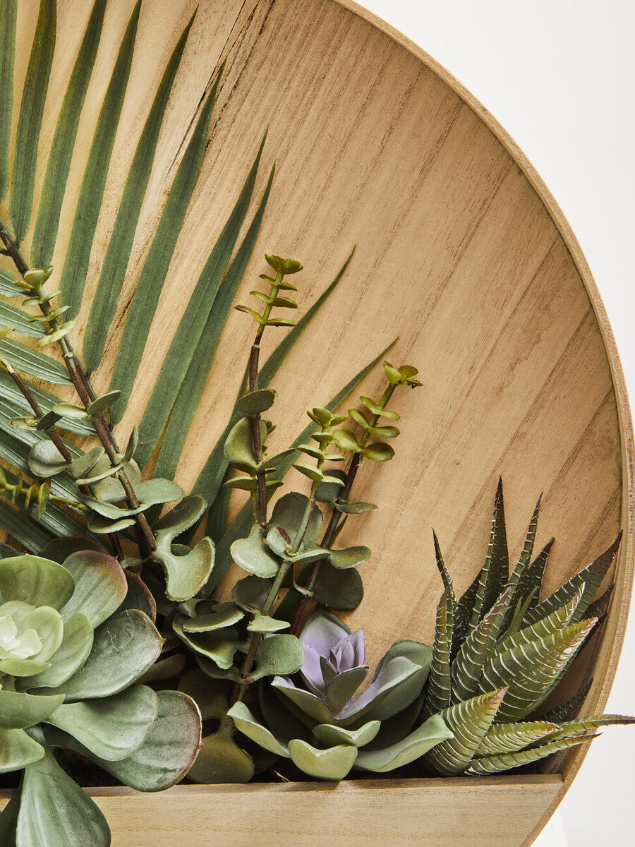 Fiori Mixed Succulents In Wood Wall Planter
